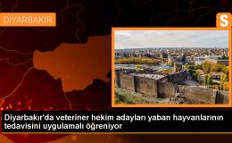 Diyarbakır’da Veteriner Hekim Adayları Yaban Hayvanlarını Uygulamalı Öğreniyor