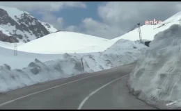 Van Dernekleri Federasyonu Genel Başkanı: Şehir kayyumdan kurtulmanın keyfini yaşıyoruz