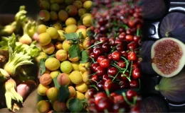 Türkiye Tarım Üretiminde Dünya Birincisi