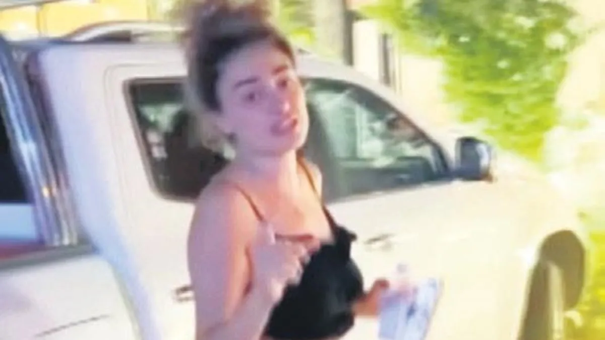 Uçakta kedi kavgası