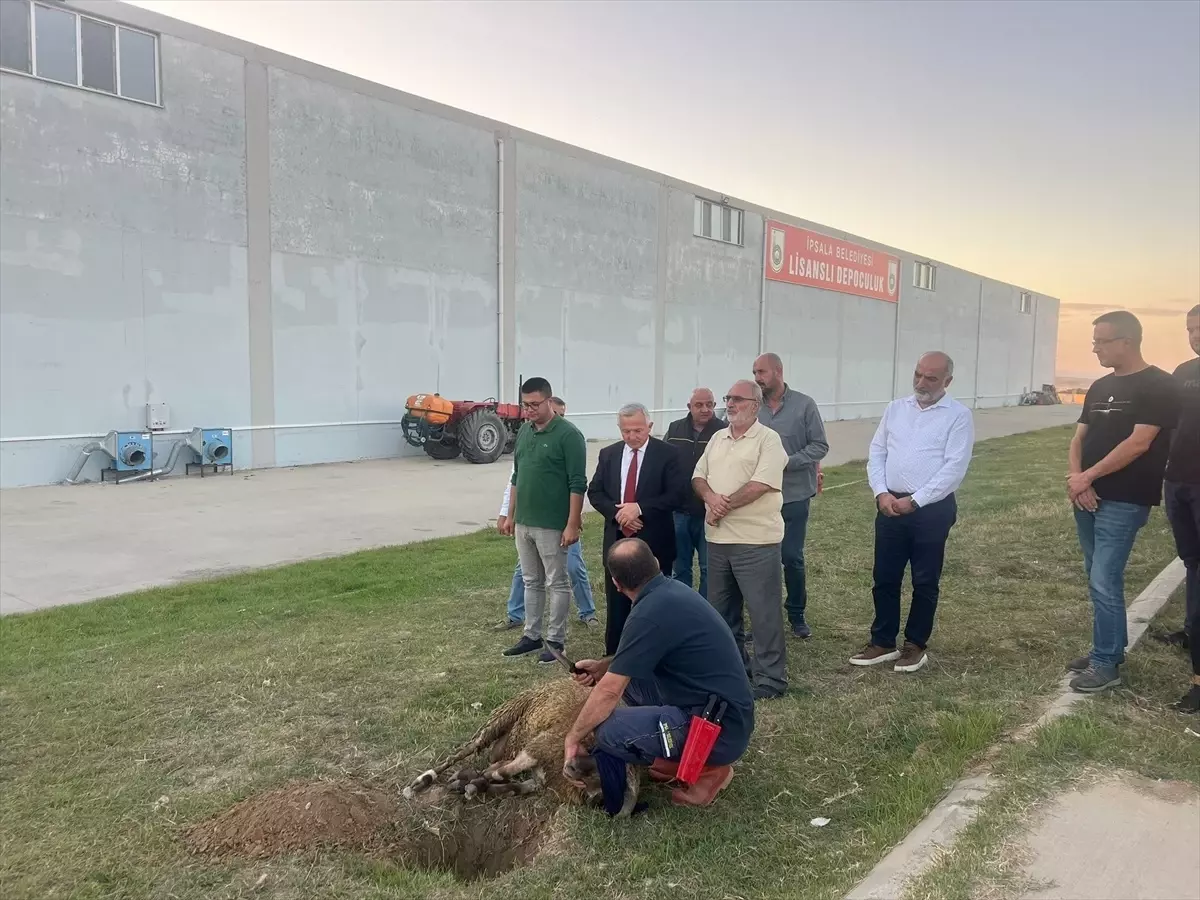 İpsala’da Çeltik Alım Sezonu Başladı